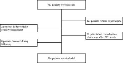 Circulating Neurofilament Light Predicts Cognitive Decline in Patients With Post-stroke Subjective Cognitive Impairment